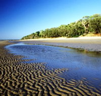 Burrum Coast National Park - Tourism TAS