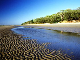 Burrum Coast National Park - Tourism TAS 0