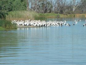Kelso QLD Tourism TAS