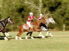 Warwick QLD Tourism TAS