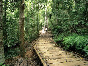 Topaz QLD Hobart Tourism