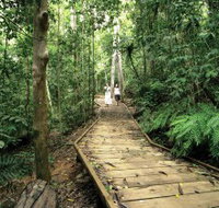 Lake Barrine Circuit Track Crater Lakes National Park - Hobart Tourism