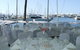 Southport Yacht Club Incorporated - thumb 8