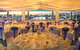 Southport Yacht Club Incorporated - thumb 9