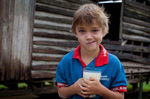 Maleny Dairies - Hobart Tourism 2