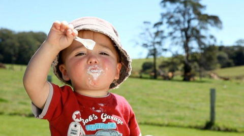 Maleny Dairies - Hobart Tourism 5