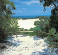 Lake Wabby Track - Tourism TAS