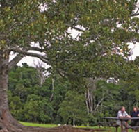 Ravensbourne National Park - Hobart Tourism