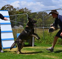 Lawdogs Australia - Hobart Tourism