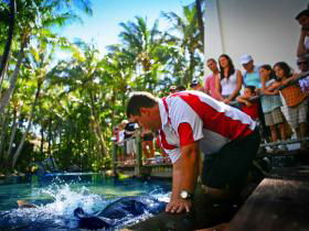 Daydream Island QLD Hobart Tourism