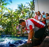 The Living Reef on Daydream Island - Hobart Tourism