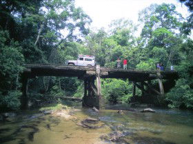 Ravenshoe QLD Tourism TAS
