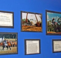 Town Hall Photographic Display - Tourism TAS