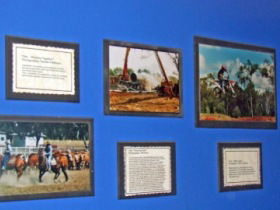 Town Hall Photographic Display - Hobart Tourism 0
