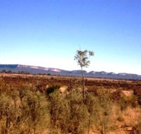 Tambos Wilderness Way - Hobart Tourism