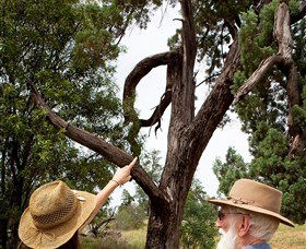 Charleville - Outback Native Timber Walk - Hobart Tourism 0
