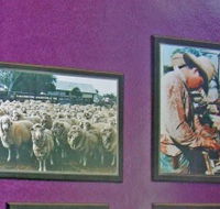 Charleville Photographic Display - Tourism TAS