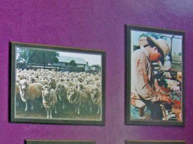 Charleville Photographic Display - Hobart Tourism 0