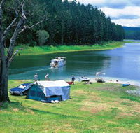 Danbulla National Park and Danbulla State Forest - Hobart Tourism