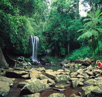 Tamborine National Park - Tourism TAS