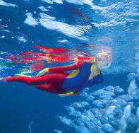 Outer Rocks Dive Site - Hobart Tourism