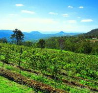 Preston Peak Wines - Hobart Tourism