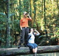 Birdwatching on the Fraser Coast - Tourism TAS