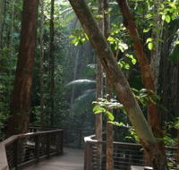 Basin Lake Track - Tourism TAS