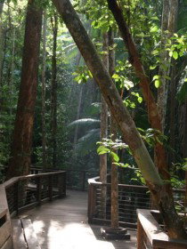 Basin Lake Track - Tourism TAS 0