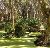 Arkarra Lagoons and Tea Gardens - Tourism TAS