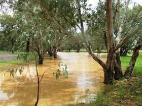 Saddliers Waterhole And Hamburg Creek - Tourism TAS 0