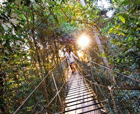 Tree Top Walkway - Tourism TAS 0