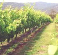 Girraween Estate - Hobart Tourism