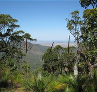 Zamia Walk - Tourism TAS