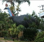 The Big Cassowary - Hobart Tourism
