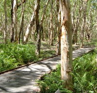 The Kommo Toera Trail - Tourism TAS