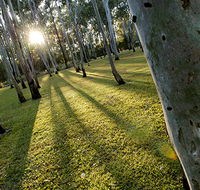Tondoon Botanic Gardens - Hobart Tourism