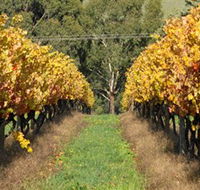 Wild Dog Winery  Restaurant - Hobart Tourism
