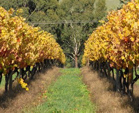 Wild Dog Winery & Restaurant - Tourism TAS 0