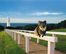 Cape Otway Lightstation - Hobart Tourism 0