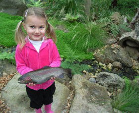 Rhyll VIC Tourism TAS