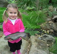 Wild Food Farm  Cafe - Tourism TAS