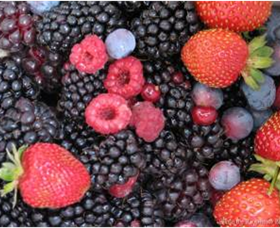 Boonah VIC Hobart Tourism