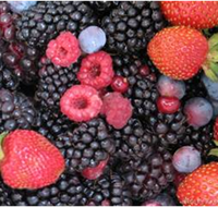 Gentle Annie Berry Gardens - Hobart Tourism