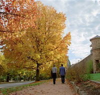 Indigo Gold Trail - Tourism TAS