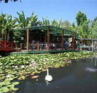 Blue Lotus Water Garden - Tourism TAS