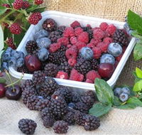 Bright Berry Farms - Tourism TAS