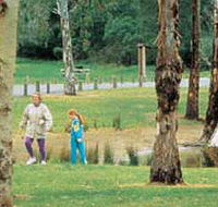 Westerfolds Park - Tourism TAS