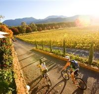Boyntons Feathertop Winery - Tourism TAS