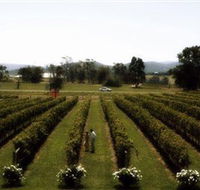 Rochford Wines - Tourism TAS